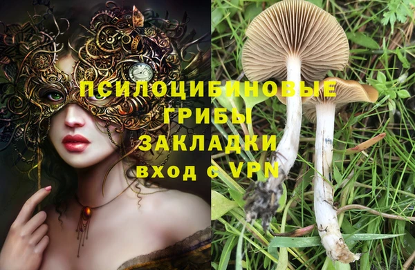 хмурый Абаза