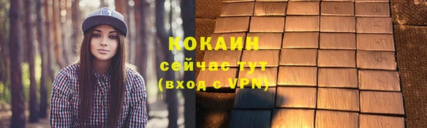 хмурый Абаза