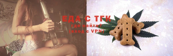 хмурый Абаза