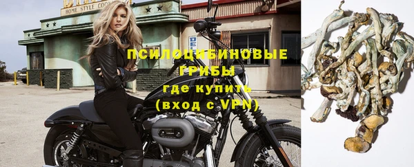 ешки Алзамай
