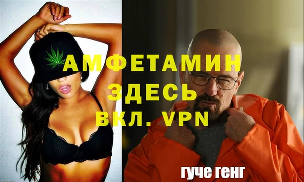 хмурый Абаза